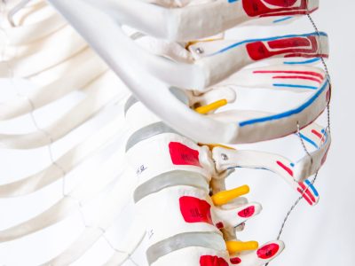 DIAGNOSE und BEHANDLUNG des Bewegungsapparates